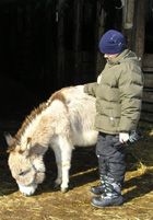 Boy&Donkey