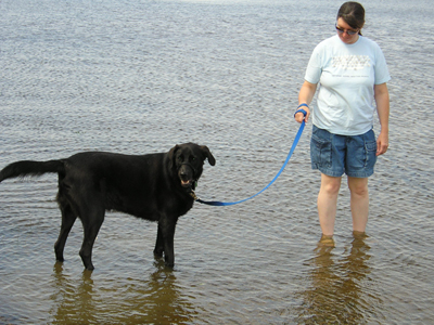 Jassper & Cathi Two